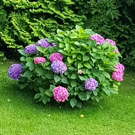 شقة Feriendomizil Wetzelberger