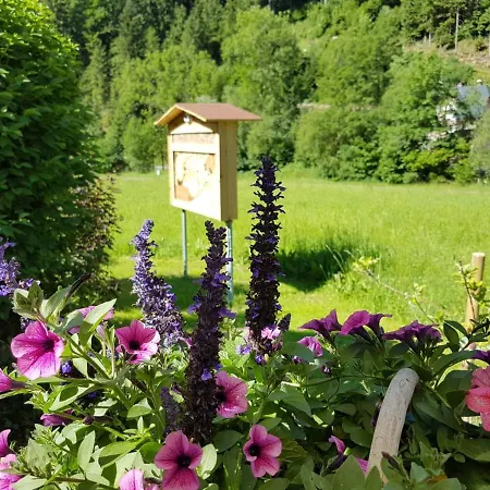 Feriendomizil Wetzelberger Apartament