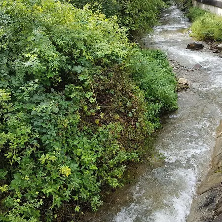 Apartament Feriendomizil Wetzelberger