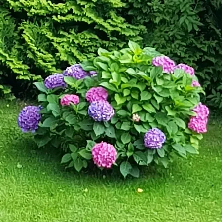 Apartament Feriendomizil Wetzelberger Monichwald