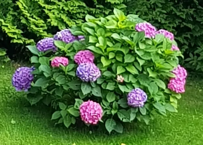 Apartamento Feriendomizil Wetzelberger