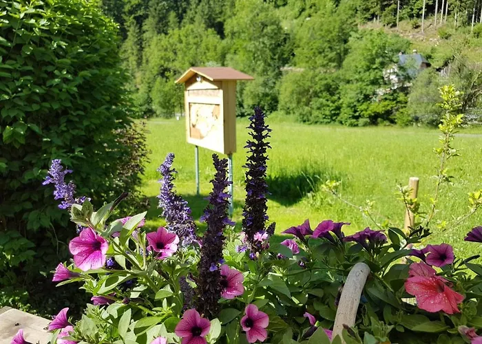 Feriendomizil Wetzelberger شقة