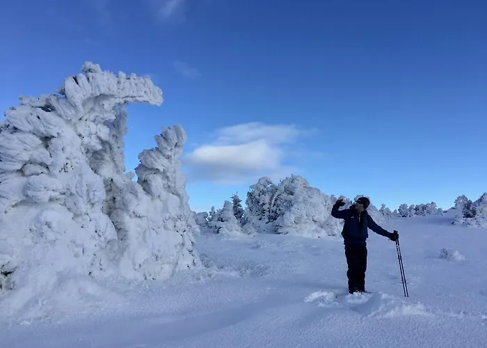Feriendomizil Wetzelberger Apartamento Monichwald