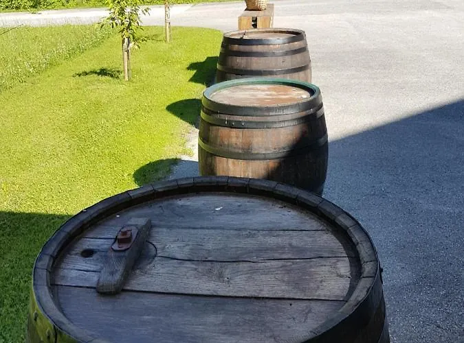 Feriendomizil Wetzelberger