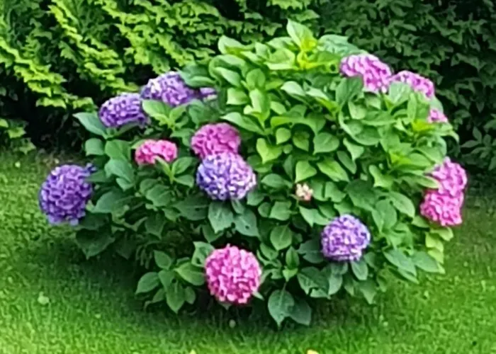 Apartamento Feriendomizil Wetzelberger Monichwald